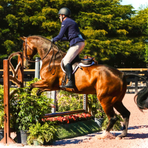Proprietor Eric Rothchild riding