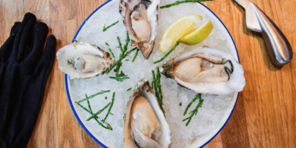 oysters image